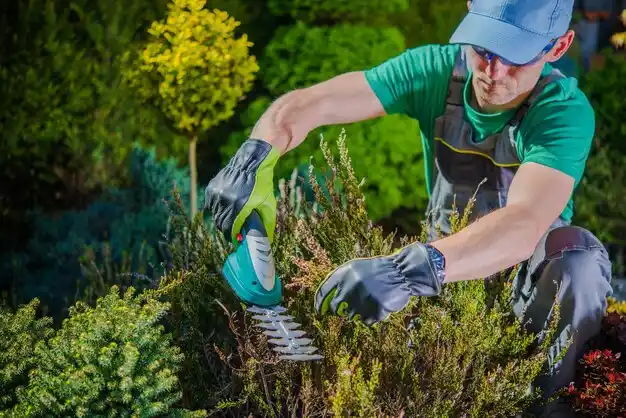 landscaping services Clarkson Valley